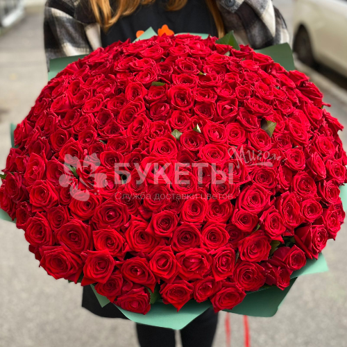 Букет 201 красная роза