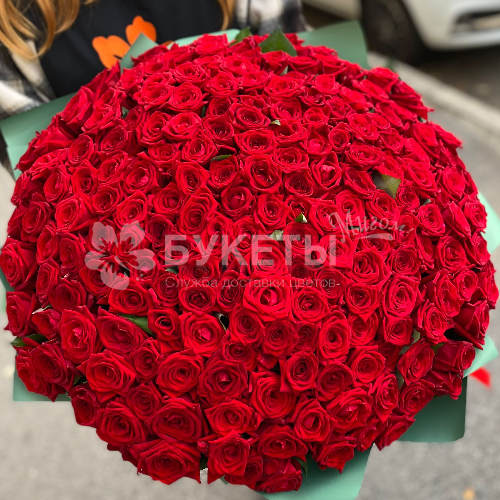 Букет 201 красная роза