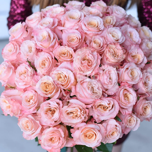 Букет из 51 розы "Шиммер"