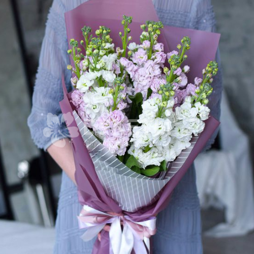 Букет из 11 белых и розовых маттиол