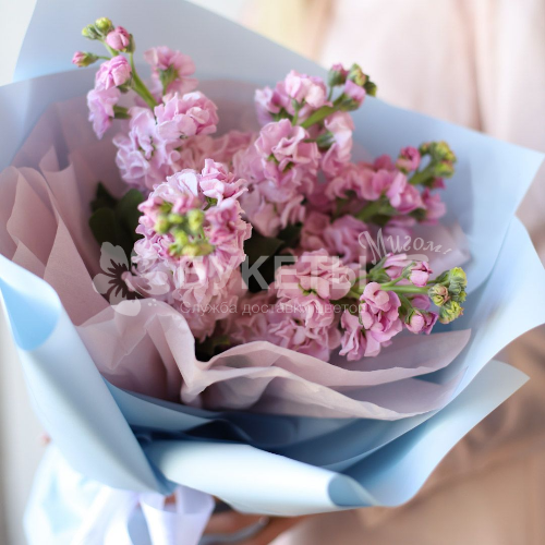 Букет из нежных маттиол