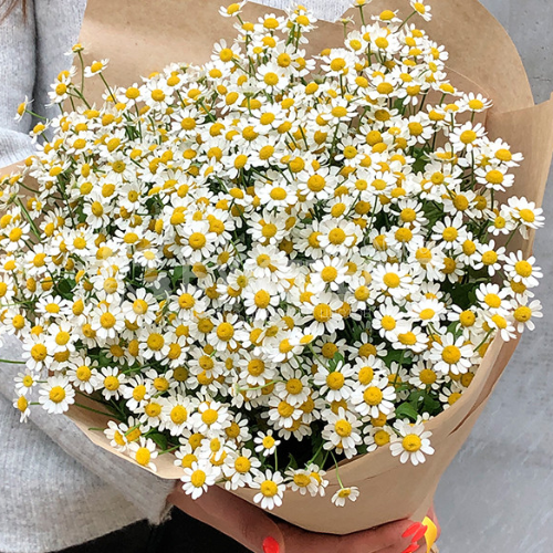Букет из 25 ромашек