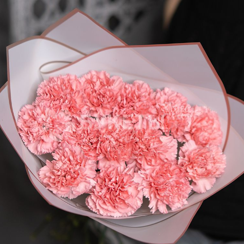 Букет из 13 розовых гвоздик