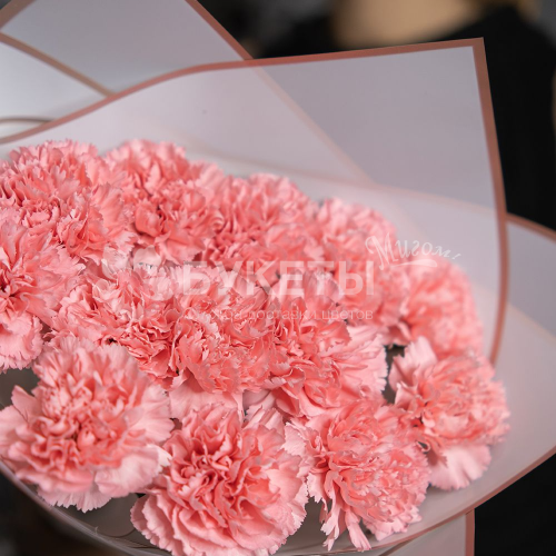 Букет из 13 розовых гвоздик