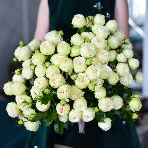 Букет из пионовидных кустовых роз "Мисс Бомбастик"