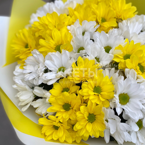 Букет "Лучи солнца"