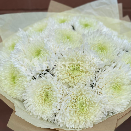 Букет из одноголовых хризантем "Антонов"