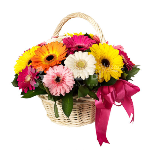Корзина из 9 гербер