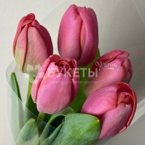 Букет из 5 розовых тюльпанов