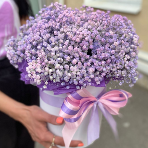 7 фиолетовых гипсофил в шляпной коробке