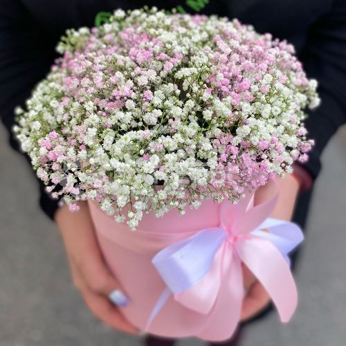 7 бело-розовых гипсофил в шляпной коробке