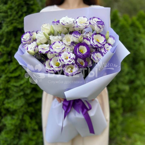 Букет из 9 белых эустом с фиолетовой окантовкой
