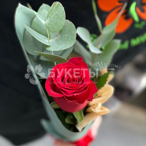 Букет из розы и эвкалипта