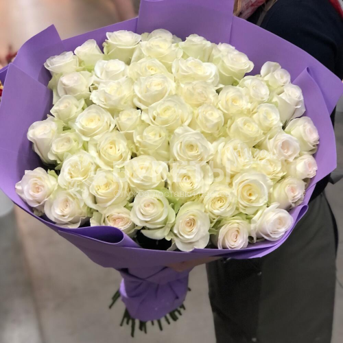 Букет из 51 белой розы (Эквадор)