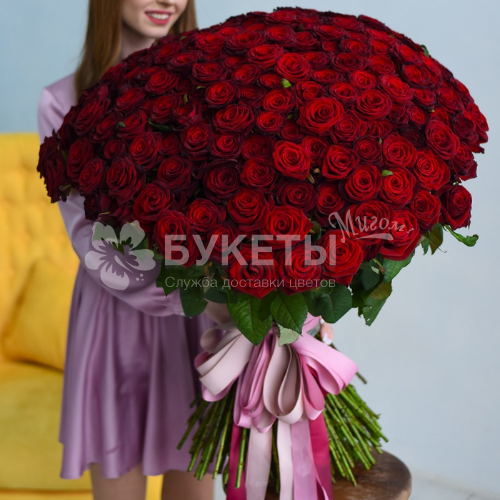 Букет из 101 красной высокой розы VIP