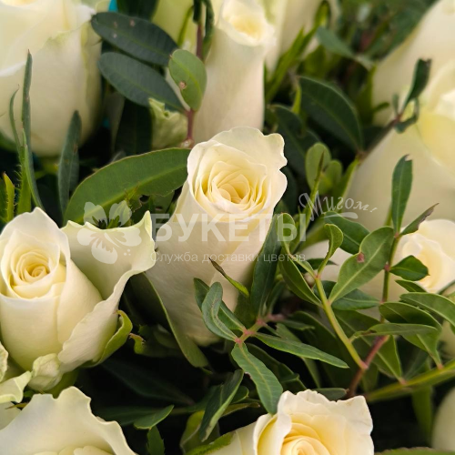 Букет из 19 белых роз "Кения" и фисташки