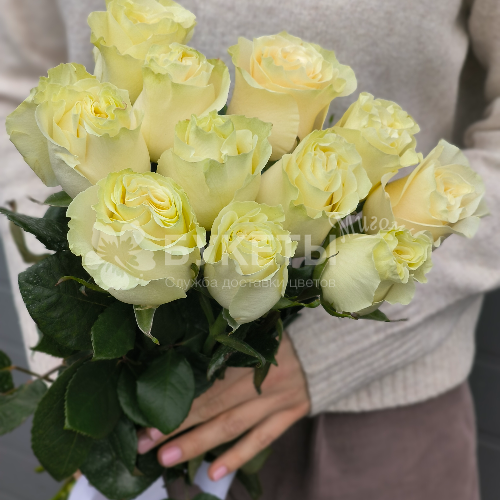 Букет из 11 белых роз Premium (60cm)