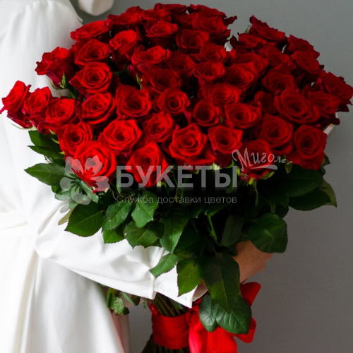 Букет из 51 красной розы "Ред Шарм"