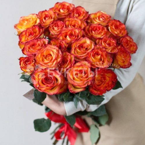 Букет из 25 роз Хай Меджик