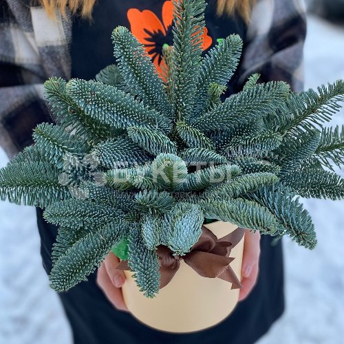 Шляпная коробка №57