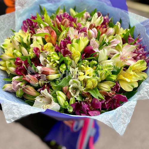 Букет 51 альстромерия