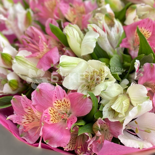 Букет из 15 альстромерий в нежных тонах