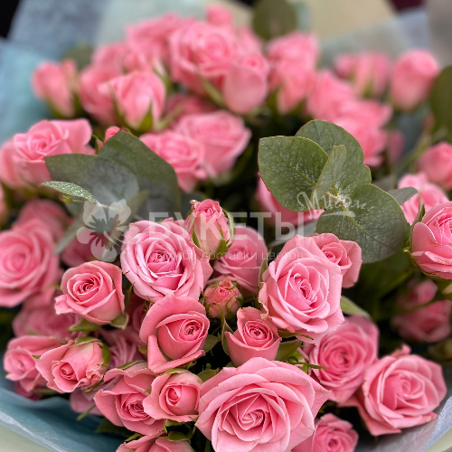 Букет из 15 кустовых роз 60 см с эвкалиптом