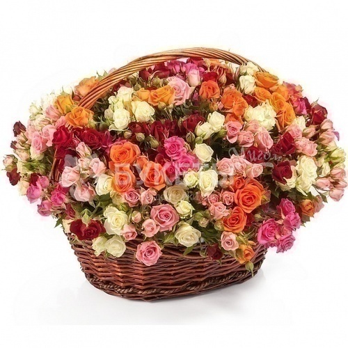 Корзина с кустовой розой "Престиж"