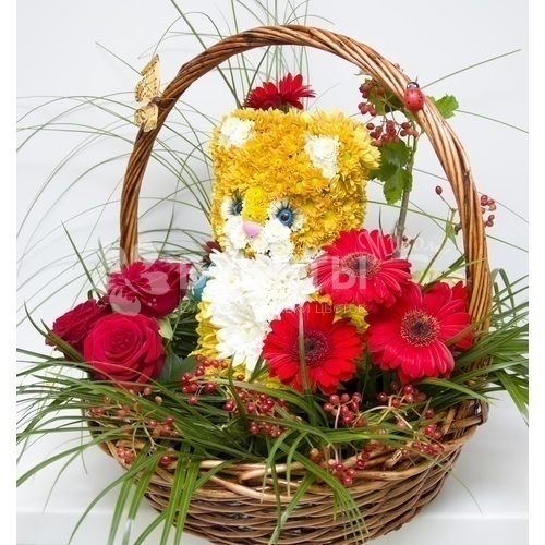 Котенок в сказочном лесу