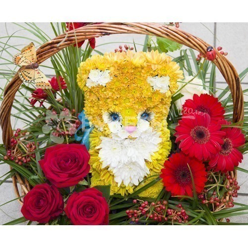 Котенок в сказочном лесу