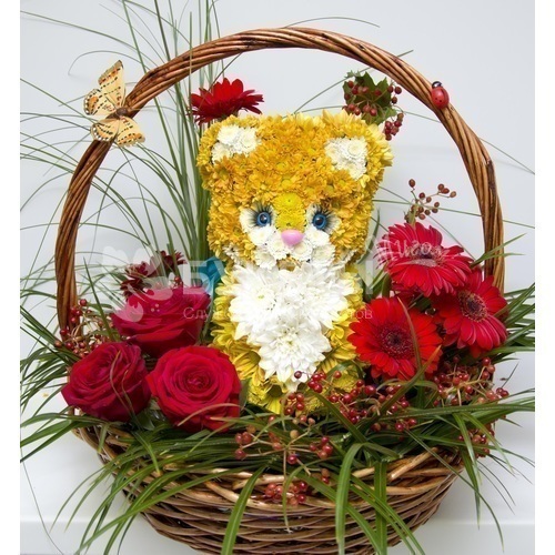 Котенок в сказочном лесу