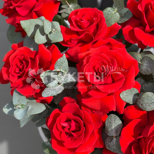 Красные французские розы с эвкалиптом в шляпной коробке