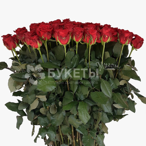 Букет из метровых красных роз 100 см