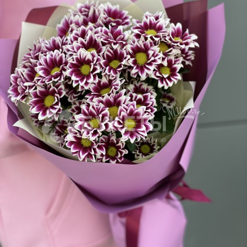 Букет из 9 малиновых кустовых хризантем