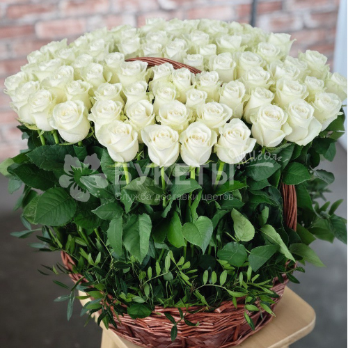 Корзина из 101 белой розы "Поцелуй Сен‑Жермен"