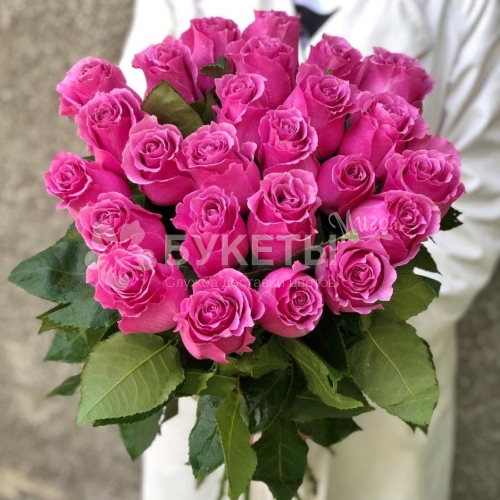 Букет из 25 розовых роз (Эквадор) 50 см