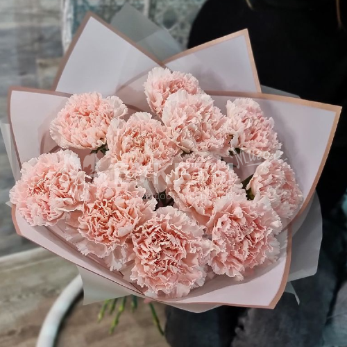 Букет из 13 гвоздик