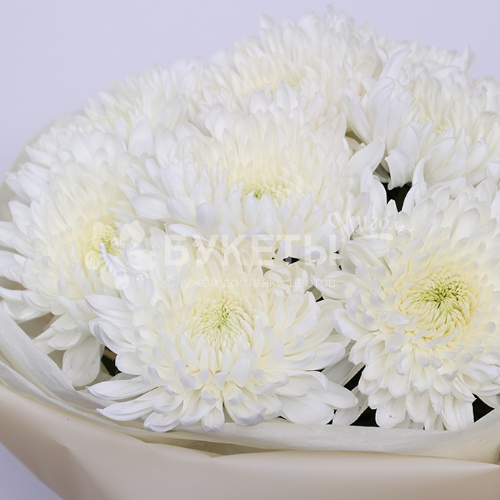 Букет "Хризантема мечты"