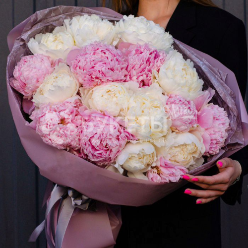 Букет из 15 розовых и белых пионов