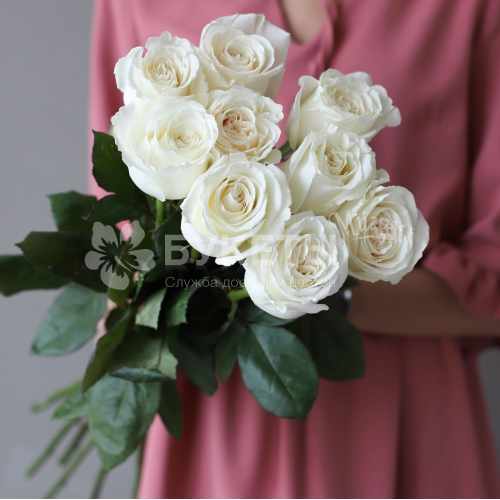 Букет из 9 белых высоких роз (Эквадор)