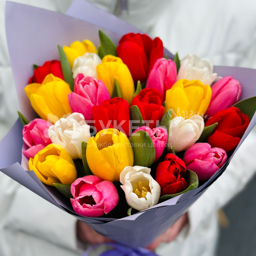 Букет из 25 ярких тюльпанов