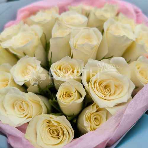 Букет из 25 белых роз "Кения"