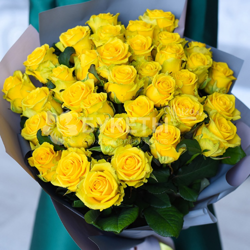 Роза желтая (Эквадор) 50 см.