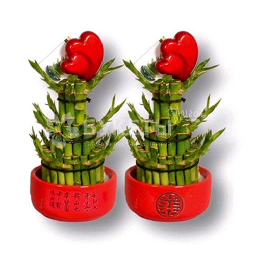 Бамбук лаки в керамике