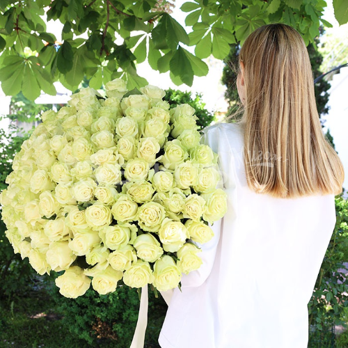 Букет из 101 белой эквадорской розы Premium