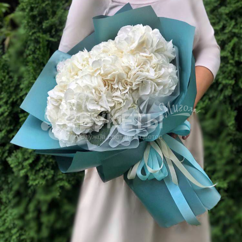 Букет из 7 белых гортензий