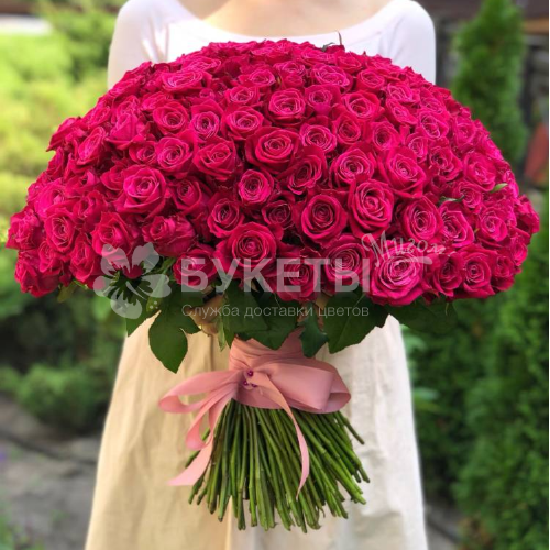 Букет из 201 розовой розы "Легенда"