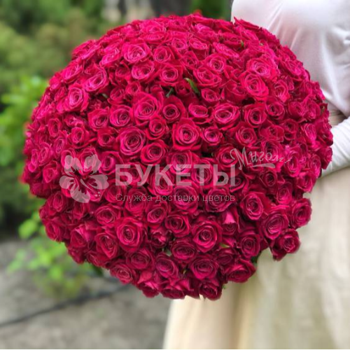 Букет из 201 розовой розы "Легенда"