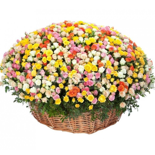 Корзина из 201 кустовой розы