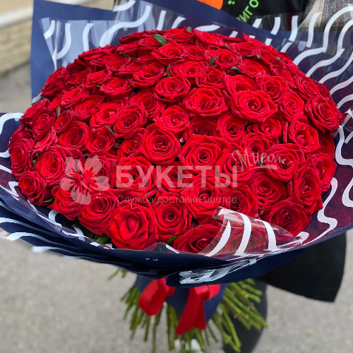 Букет из 101 красной розы "Ред Шарм"